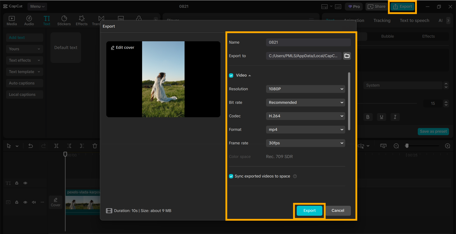 Export the video